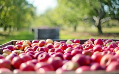 La UEx y los consumidores colaboran en el diseño de nuevos productos alimentarios